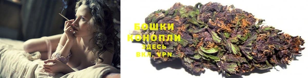 дмт Осинники