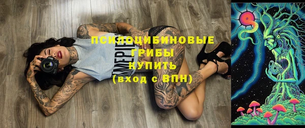 экстази Осташков