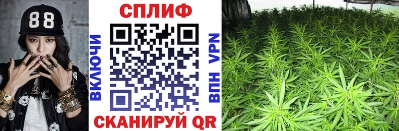 купить закладку гидра вход Бошки Шишки LSD WEED Щёкино
